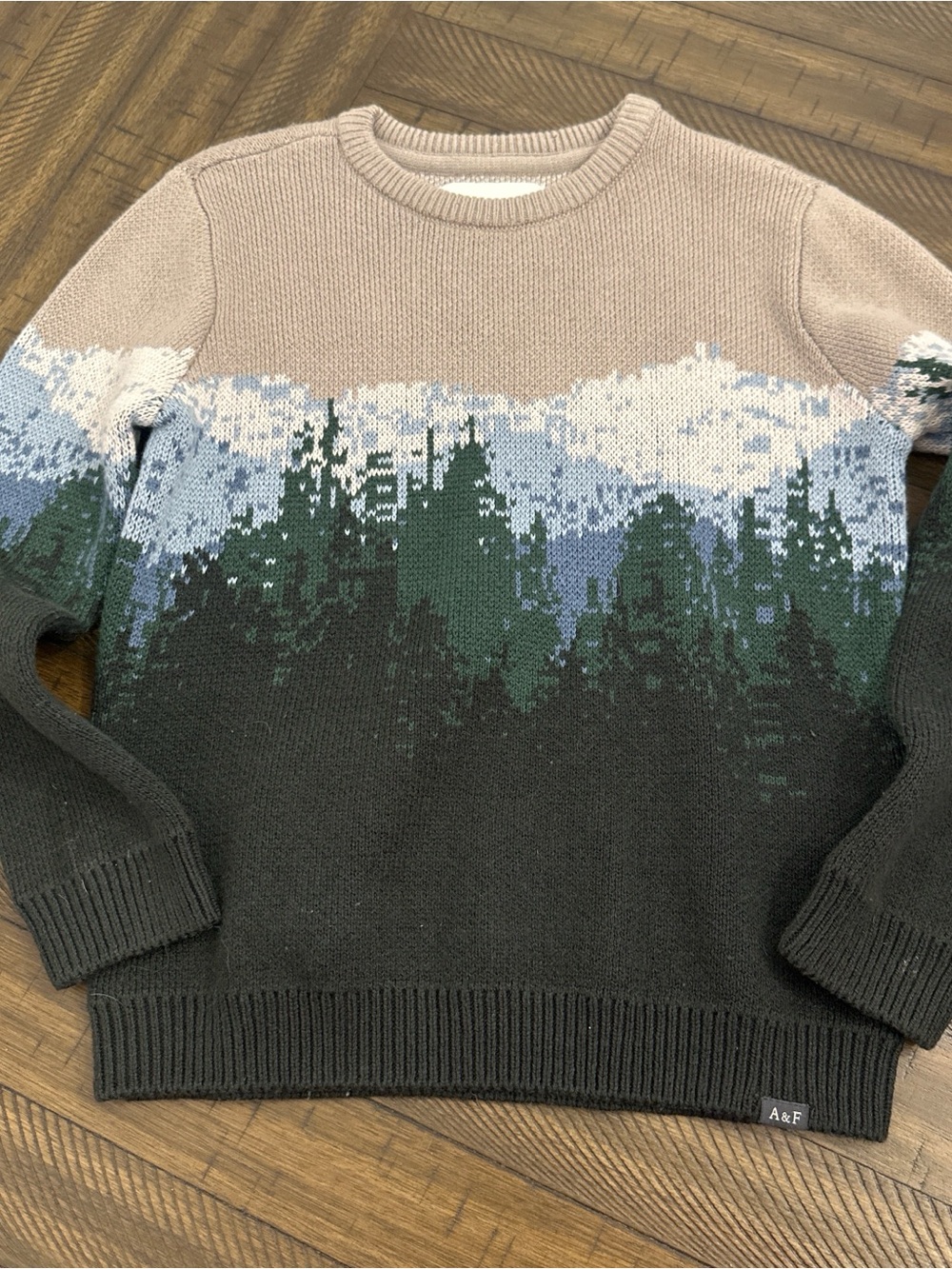 abercrombie kids Beige, Blue and Green Mountain Crewneck Sweater